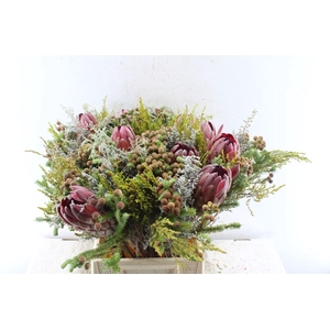 Protea Boeket