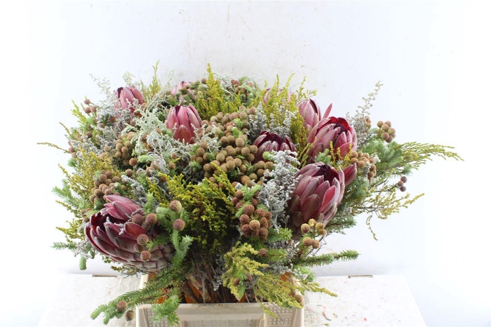 <h4>Protea Boeket</h4>