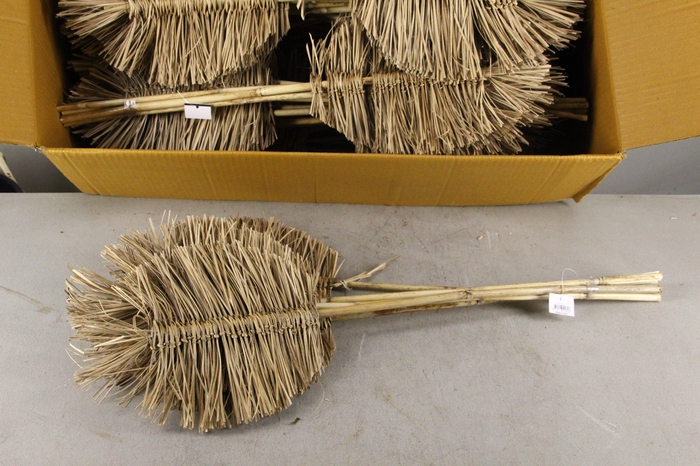 <h4>DF Boho Leaf 25cm H70cm Nat.</h4>