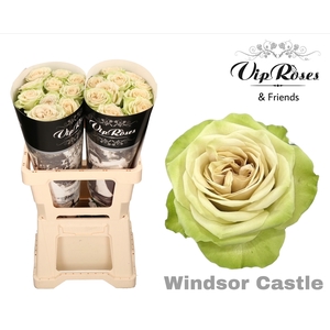 R Gr Windsor Castle