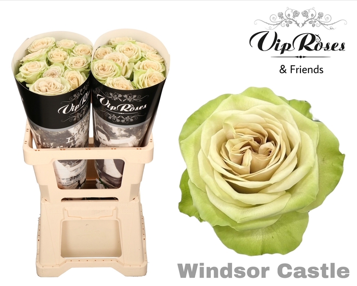 R Gr Windsor Castle