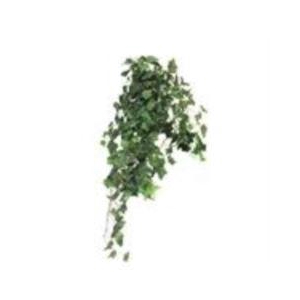 Ivy Chicago hanger XL green 100cm
