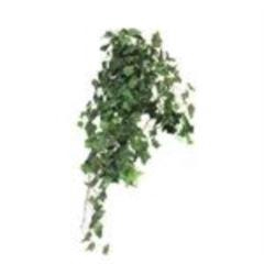 <h4>Ivy Chicago hanger XL green 100cm</h4>