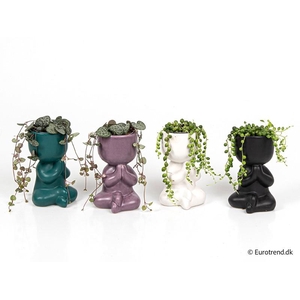 E 4302 preyer m dyrt mix