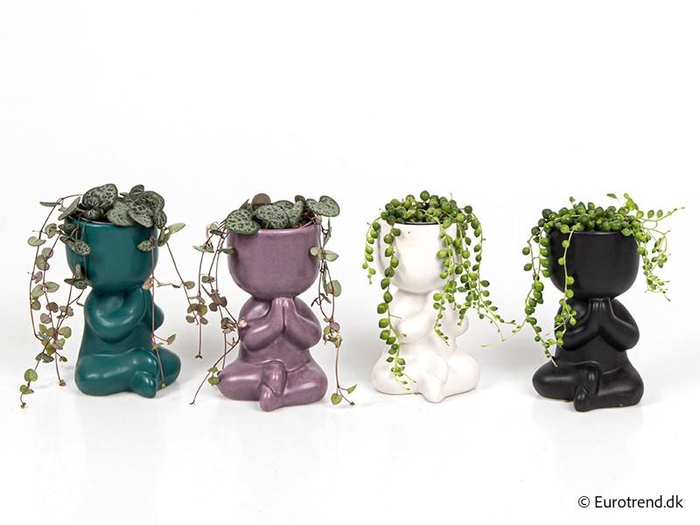 <h4>E 4302 preyer m dyrt mix</h4>