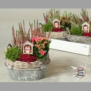 ARR TUINPLANTEN