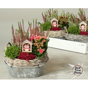ARR TUINPLANTEN