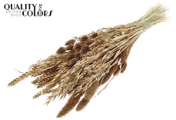 <h4>Dried Flower mix bunch Antique Gold + Glitter</h4>