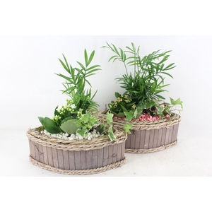 arr2 PL - Hout kano 338/3 - roze/wit