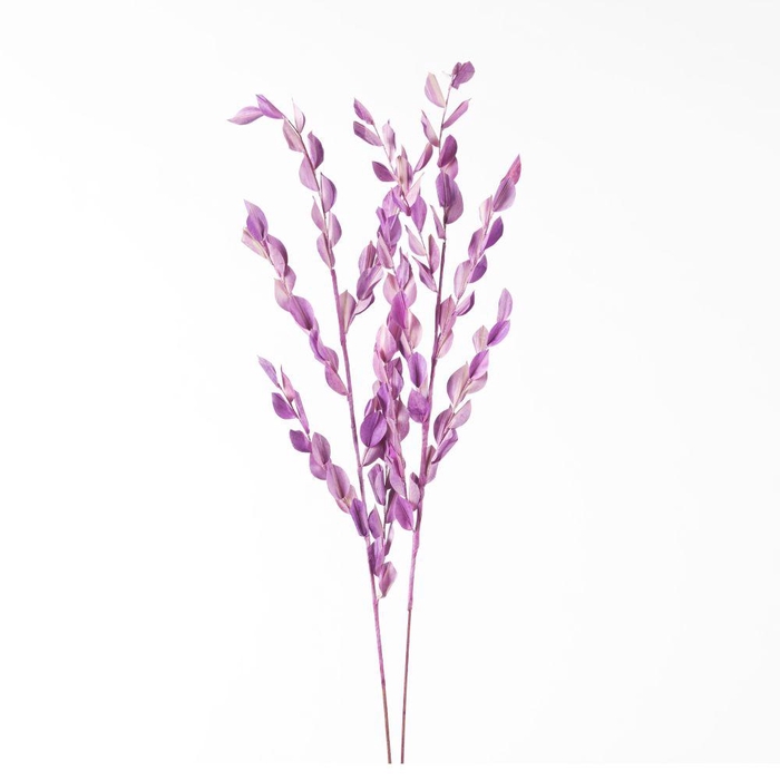 <h4>DF Fireleaves Wired 105cm Milk</h4>