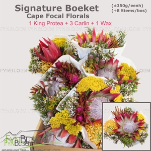 PROTEA PER BOS