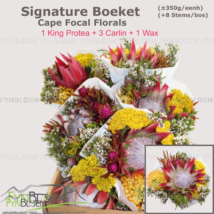 <h4>PROTEA PER BOS</h4>