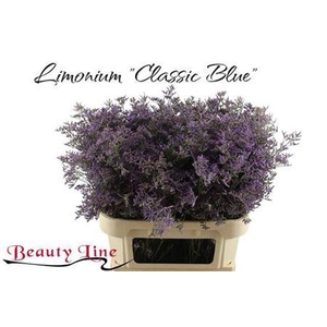 Lim Saf Classic Blue