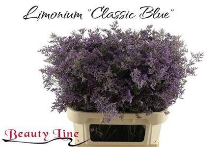 <h4>Lim Saf Classic Blue</h4>
