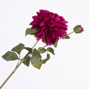 Dahlia Spray Beauty FL440363BEA