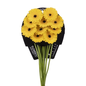 Ge Mi Pacman Flowerracket