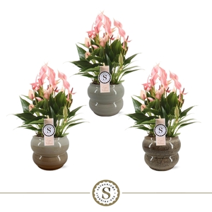 Bocelli Keramiek Lilli 14cm