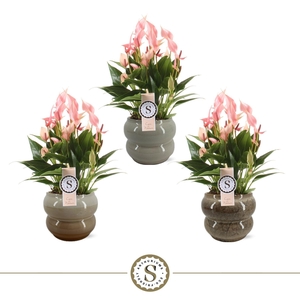 Bocelli Keramiek Lilli 14cm