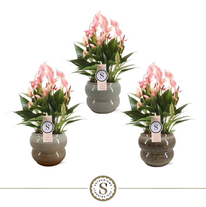 <h4>Bocelli Keramiek Lilli 14cm</h4>