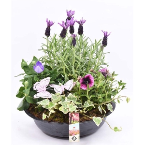 Zink schaal antriciet 29cm