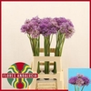 Allium Kleinbloemig