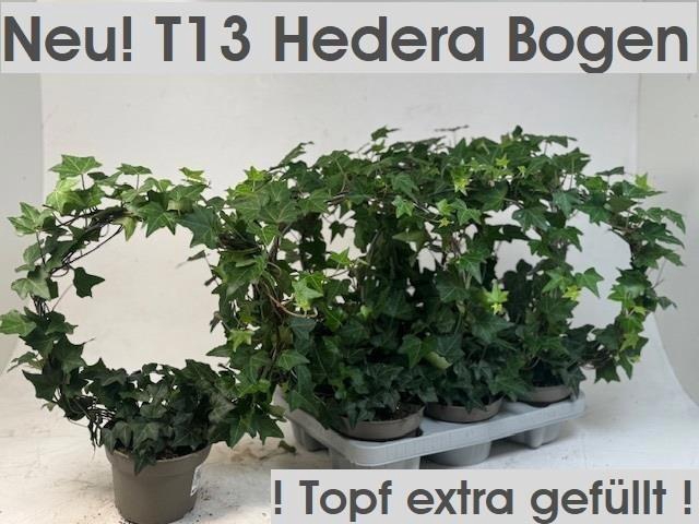 Hed He Ov Groen Mirror D30cm