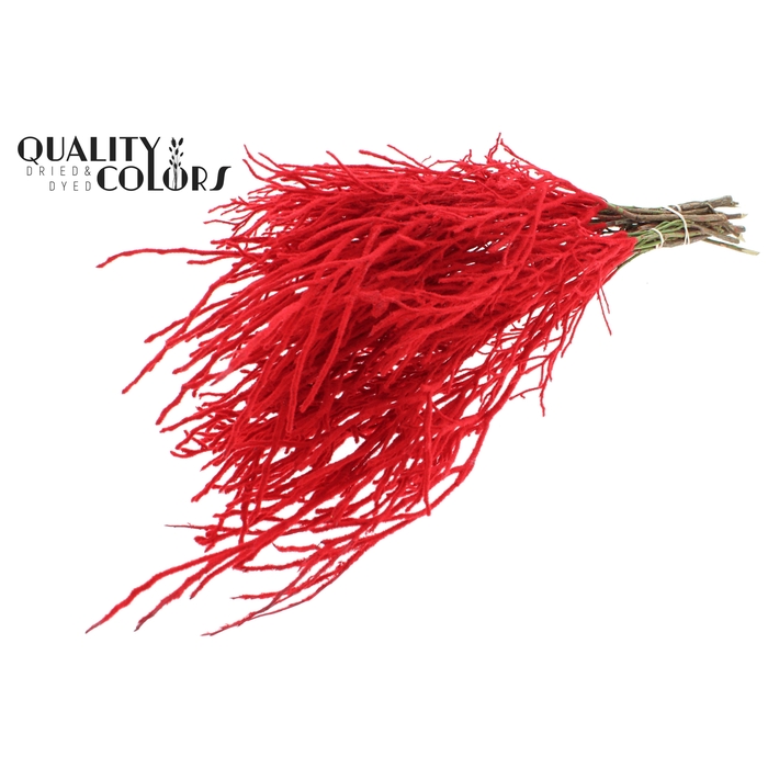 <h4>Huckelberry per bunch Red With Flock</h4>