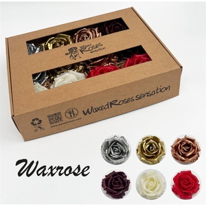 Zijde R Wx Kerstmix