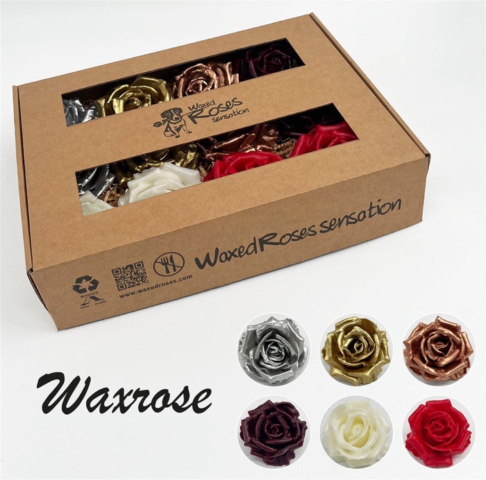 <h4>Zijde R Wx Kerstmix</h4>