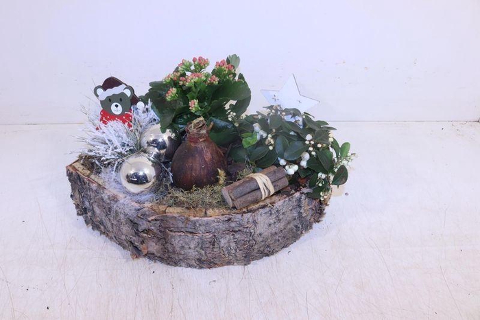 <h4>ARR HIPPEASTRUM</h4>