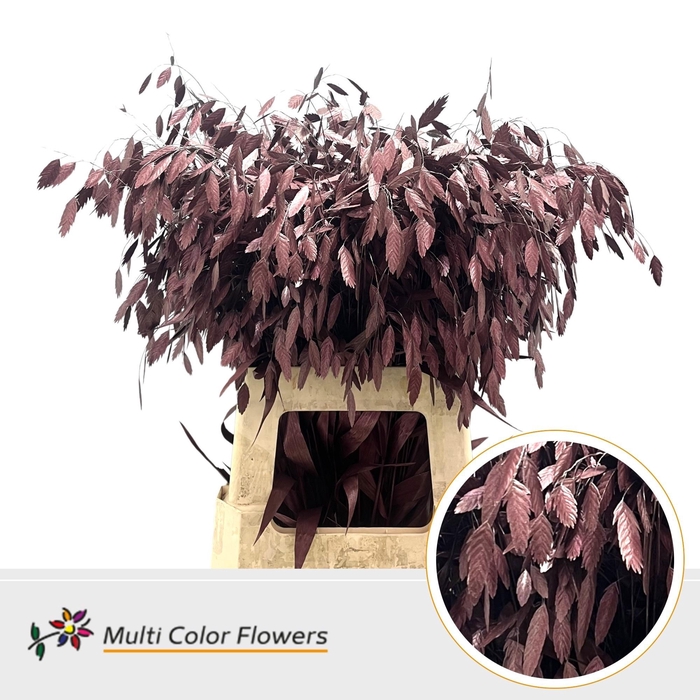 <h4>SIERGR OV KLB H%</h4>