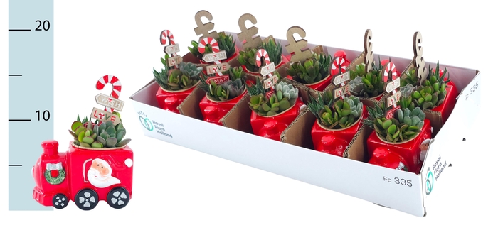 <h4>ARR KERST</h4>