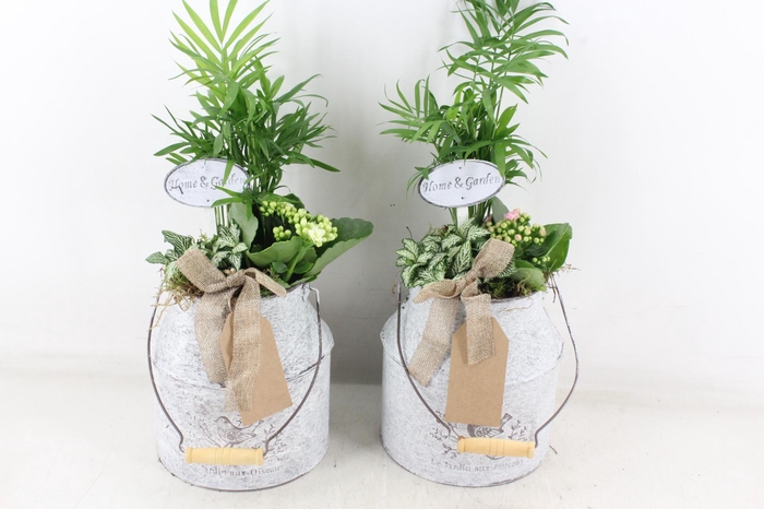 <h4>arr2 TD - Zink melkbus - roze/wit</h4>