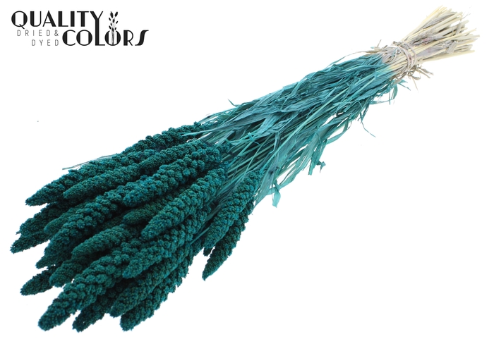 <h4>Gierst per bunch Intense Turquoise</h4>
