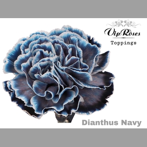 DI ST NAVY