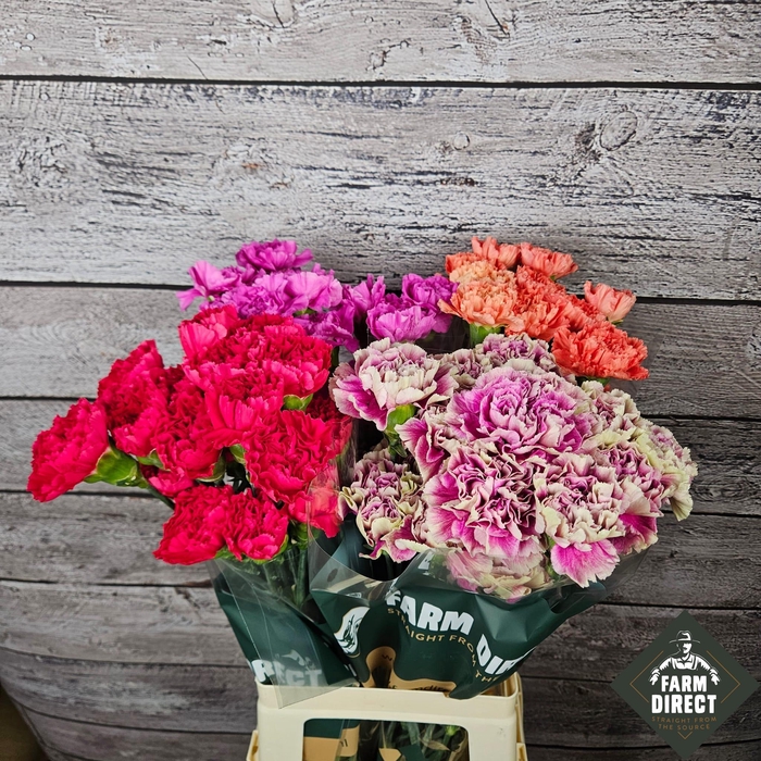 <h4>DI ST GEMENGD IN FUST</h4>