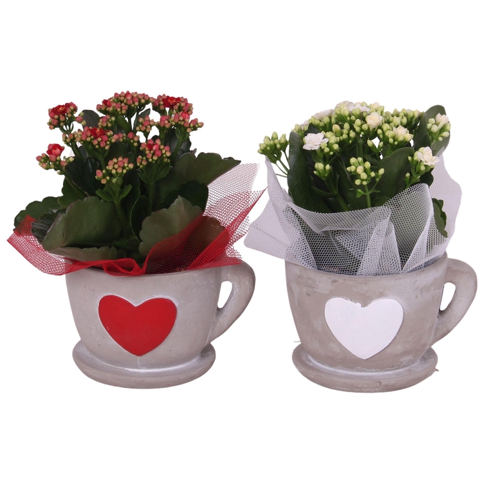<h4>Valentine Arr. Indoor Ceramic Cup Hearts Red/White Ø15cm 1PP</h4>