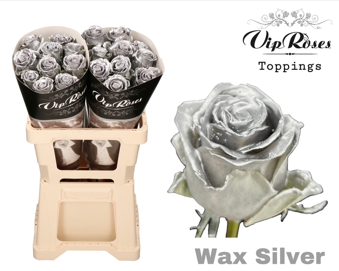 <h4>R GR WAX SILVER (60CM)</h4>