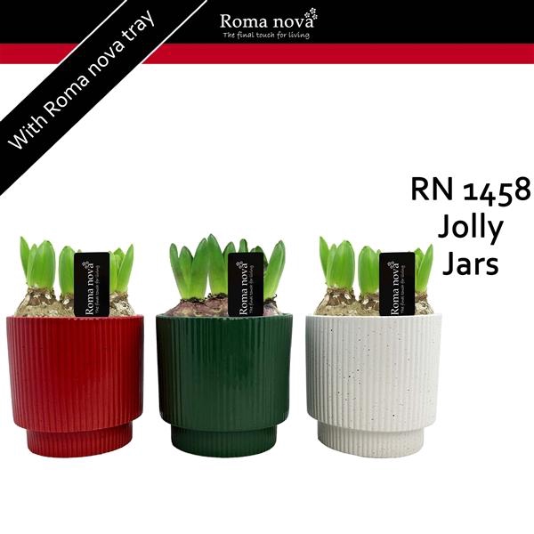 <h4>Arrangementen Hyacinthus 6%</h4>