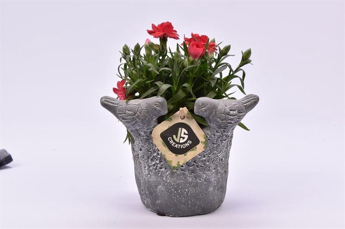 <h4>Cement vogelpotje grijs 12cm</h4>