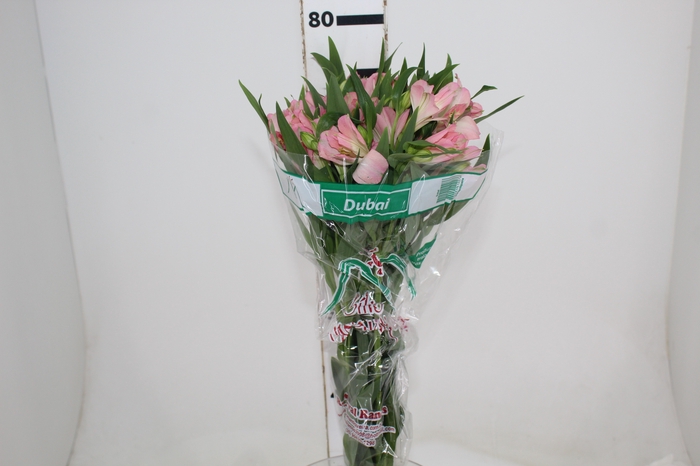 <h4>ALSTROEMERIA DUBAI 080 CM</h4>