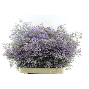 Lim Saf Classic Blue