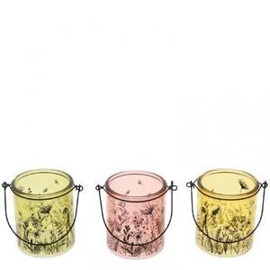 Candlelight Wild Bloom d08.5*10cm