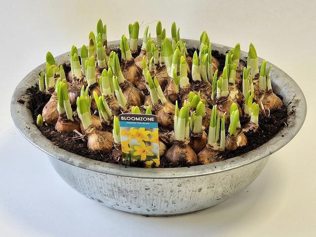 <h4>ARR N TETE A TETE</h4>