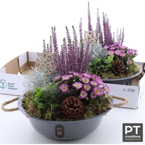 ARR TUINPLANTEN