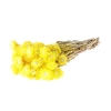 Dried Kaaps Yellow Bunch