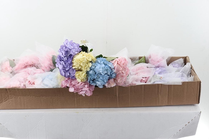 <h4>Hydr Pastel Mix Box</h4>