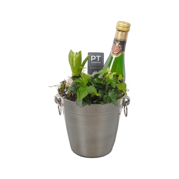 <h4>PTON5121 Arrangement New Year in metaal emmer</h4>