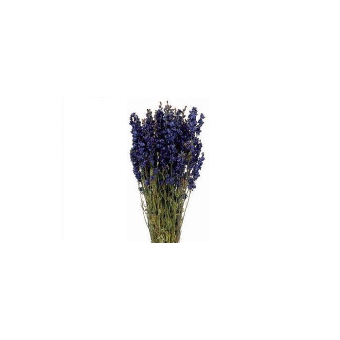 <h4>Bunch Delphinium Slv 100g L60</h4>