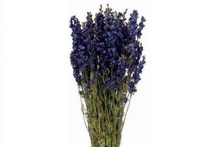 Bunch Delphinium Slv 100g L60